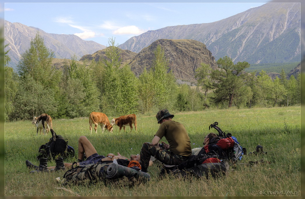  MG 4859  MG 4861 PA 2