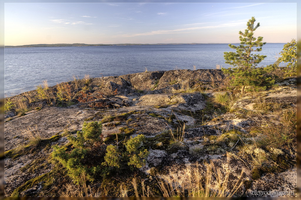  MG 5560  MG 5562 PA 2