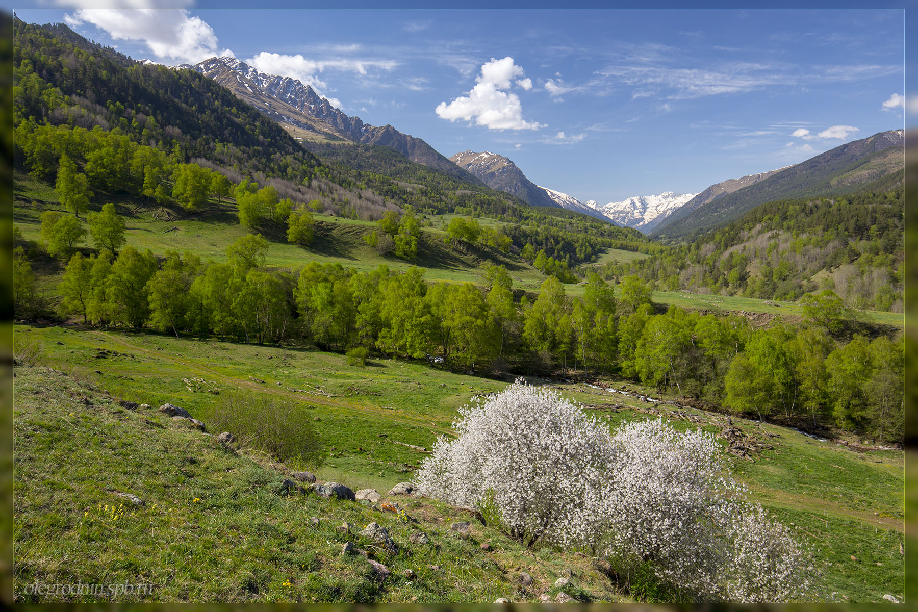 2018 05 Kavkaz Teberda Marukha