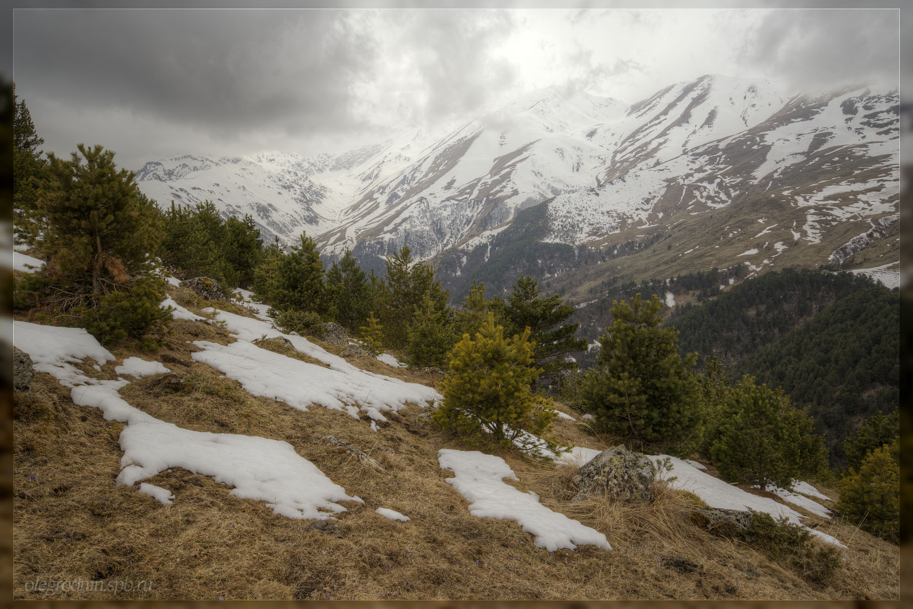 2019 05 Kavkaz Teberda Ermolovka